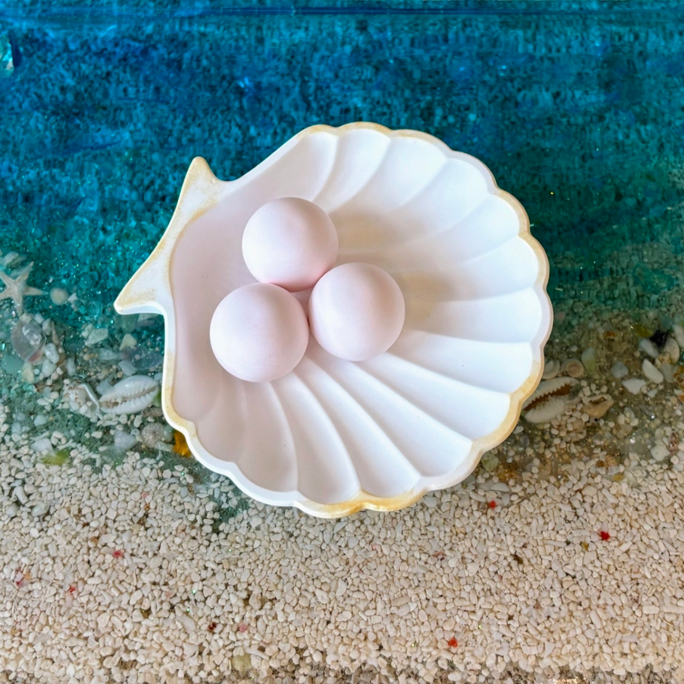海のアロマストーン　貝殻