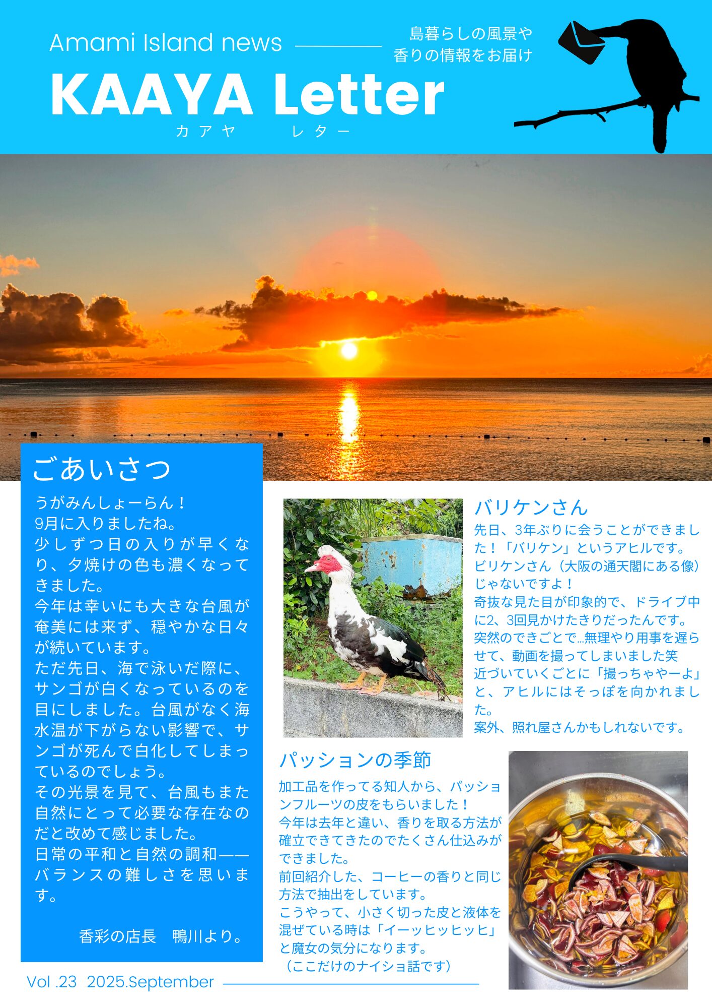 奄美　香彩　夕焼け