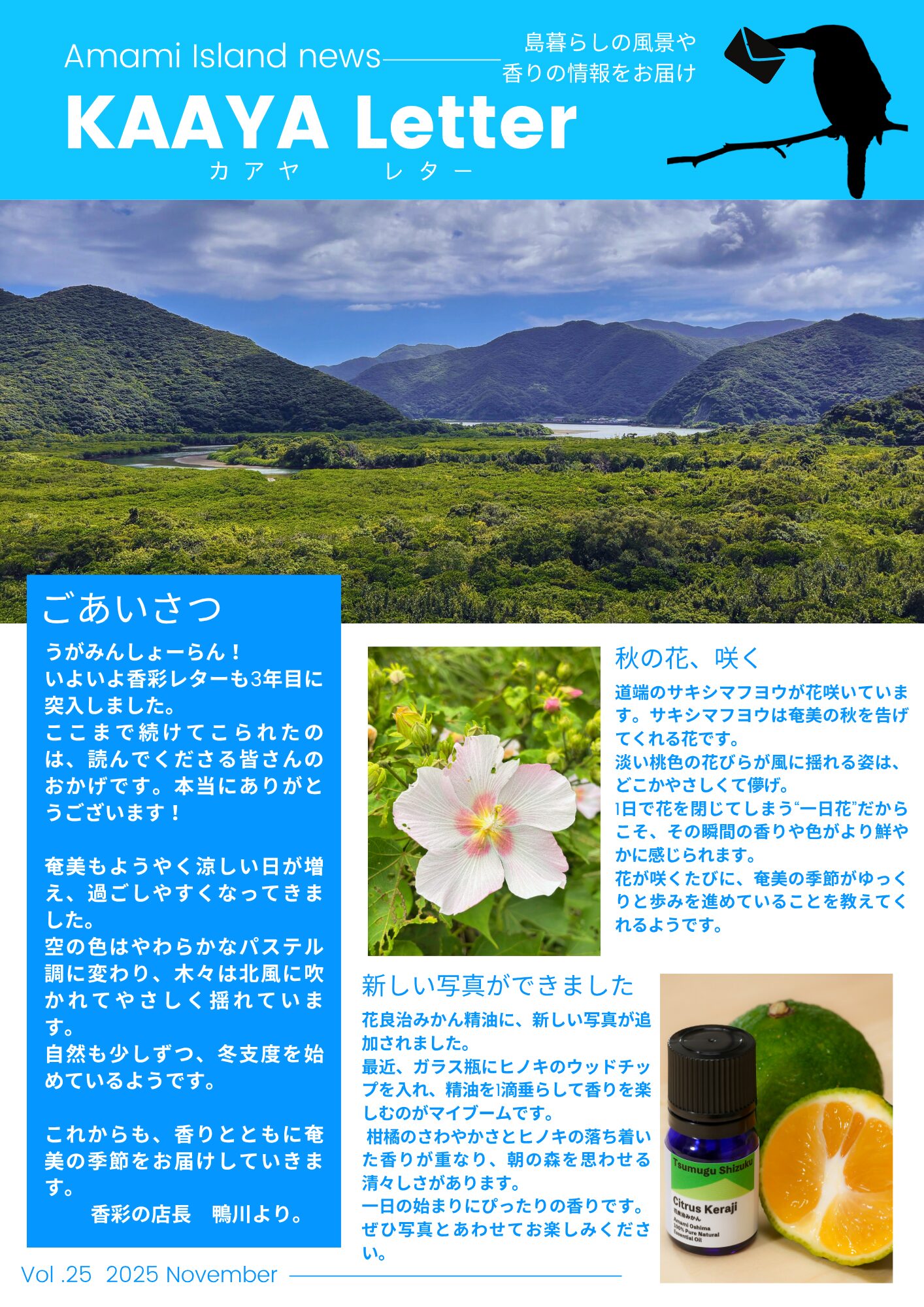 香彩　奄美　マングローブ