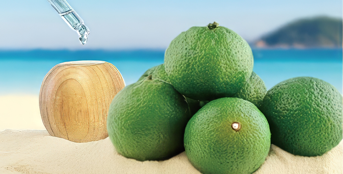 Kiyo fragrance oil, wooden diffuser, and Keraji mikan by the sea