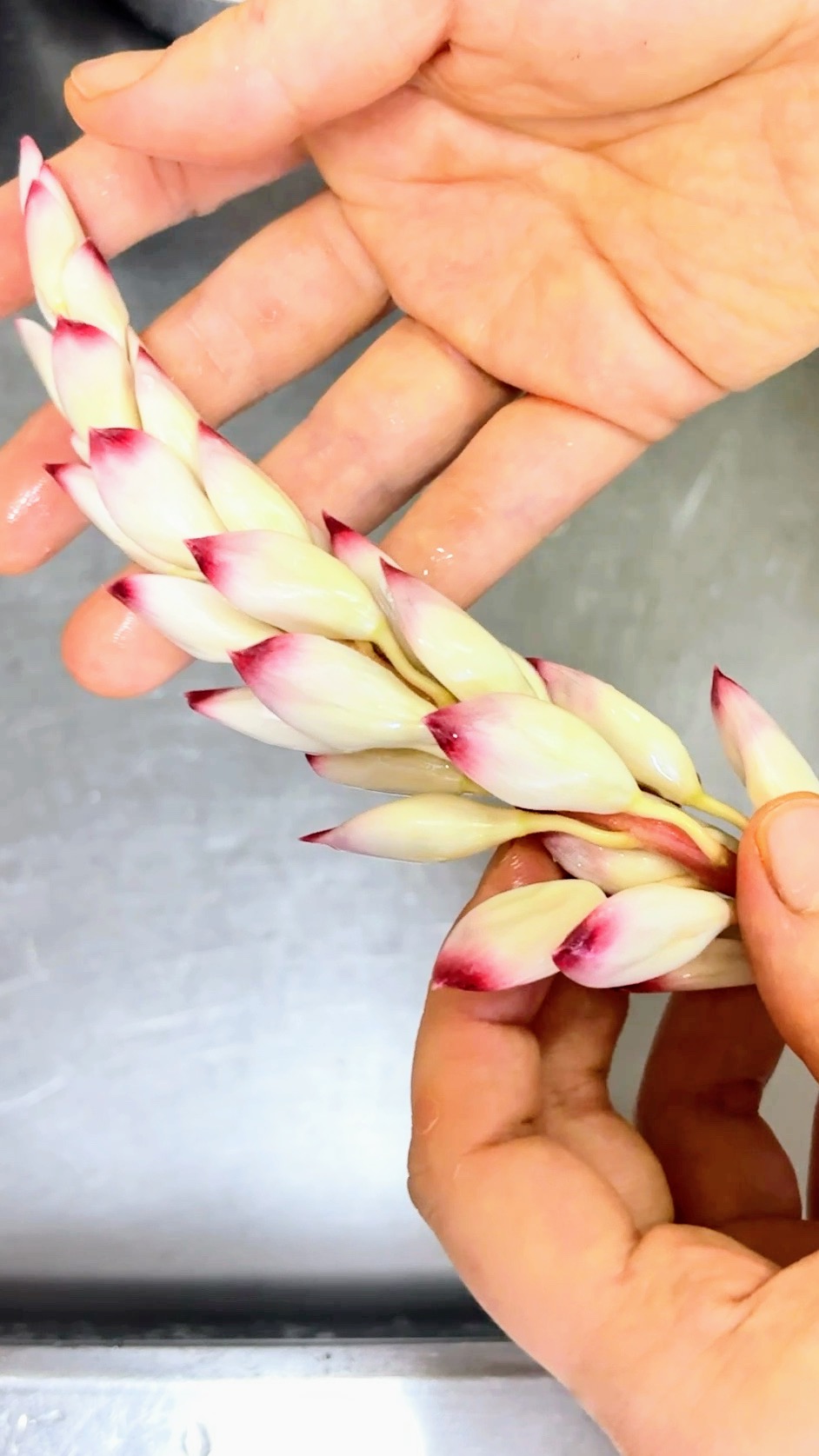 月桃　花　香り